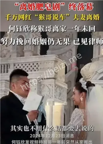 猴哥说车离婚内幕